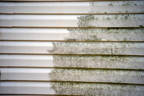 Best Storm Damage Siding Repair  in Legend Lake, WI