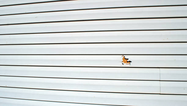 Best Fascia and Soffit Installation  in Legend Lake, WI